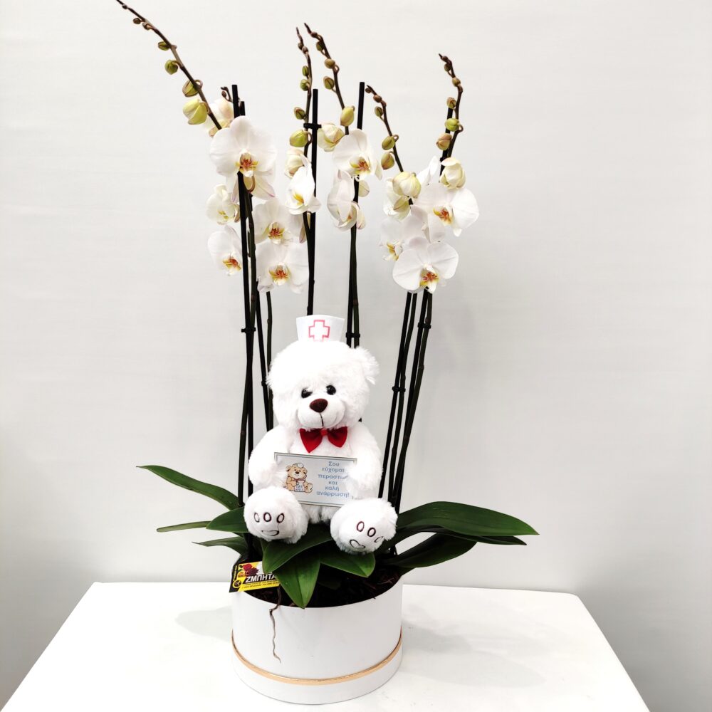 COMPOSITION WITH WHITE ORCHIDS FOR RECOVERY
