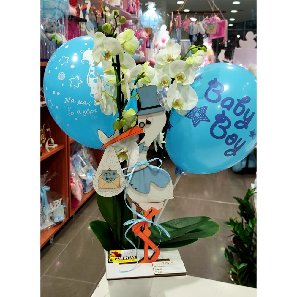 ORCHID WITH A BLUE STORK FOR A NEWBORN BOY