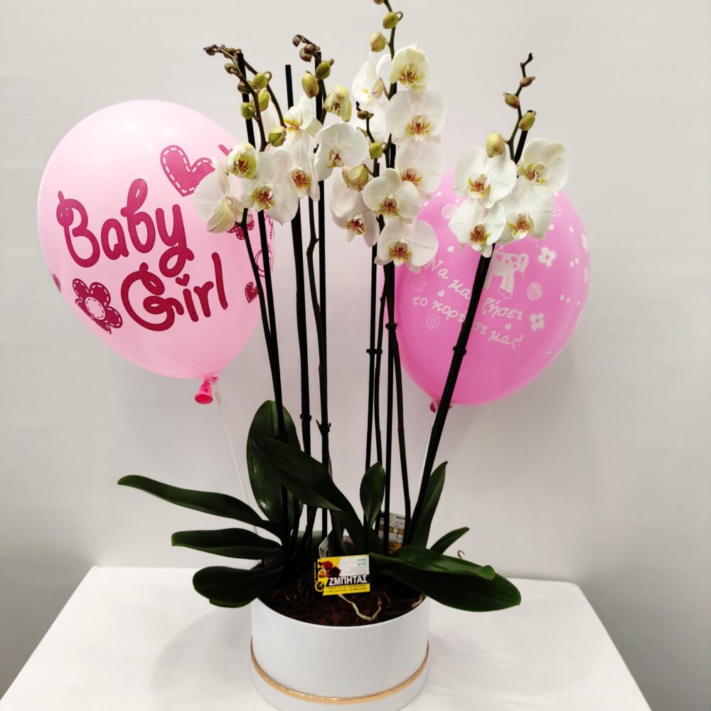 COMPOSITION WITH WHITE ORCHIDS FOR A NEWBORN GIRL