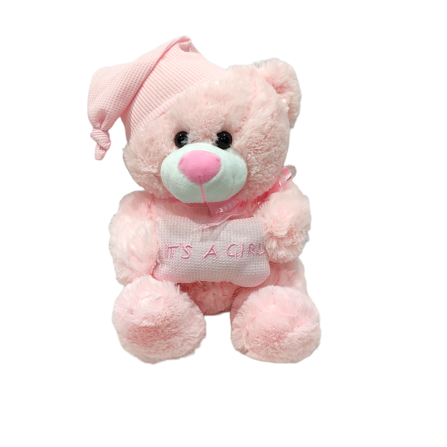 PINK TEDDY BEAR WITH PILLOW
